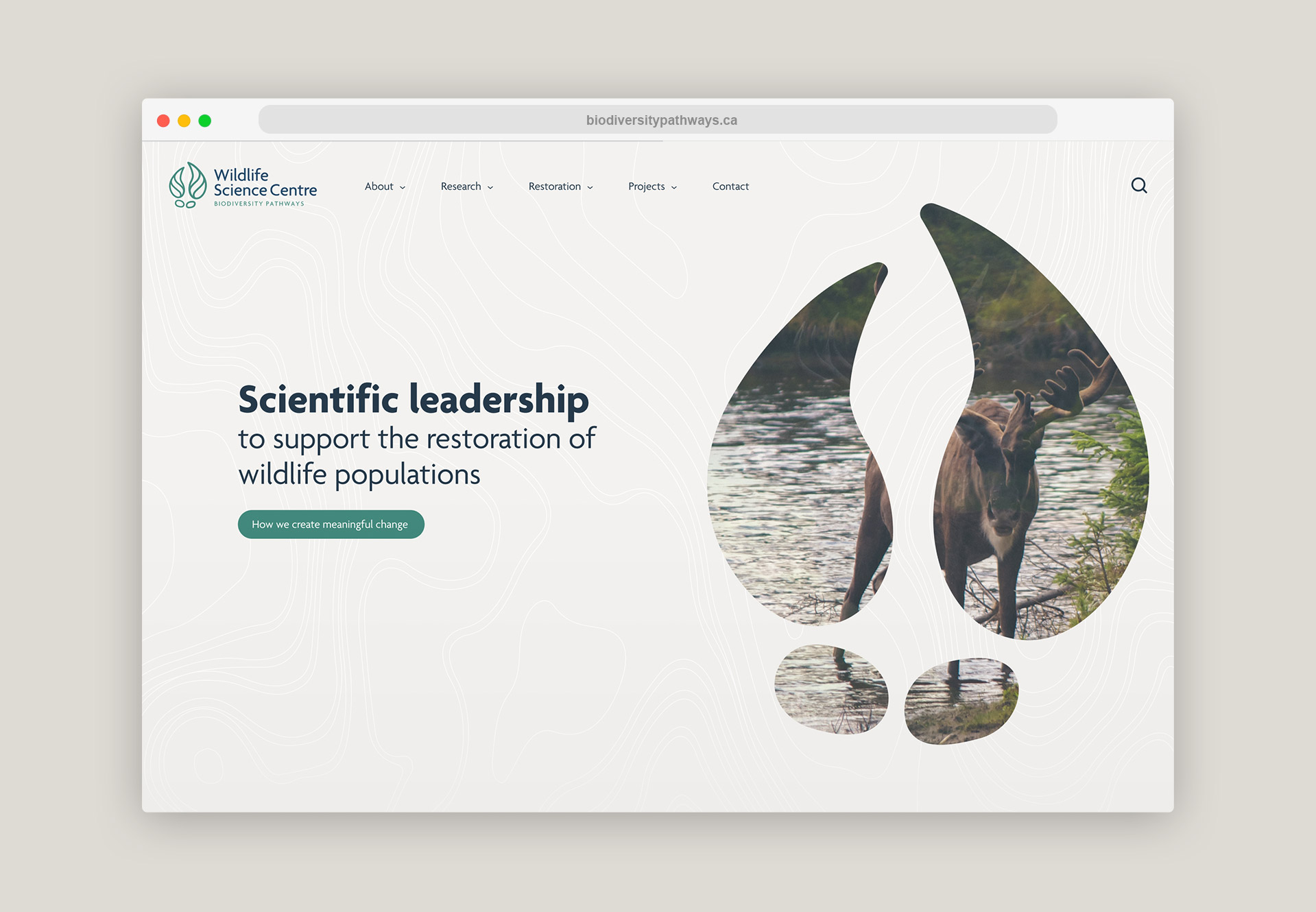Wildlife Science website Design 1