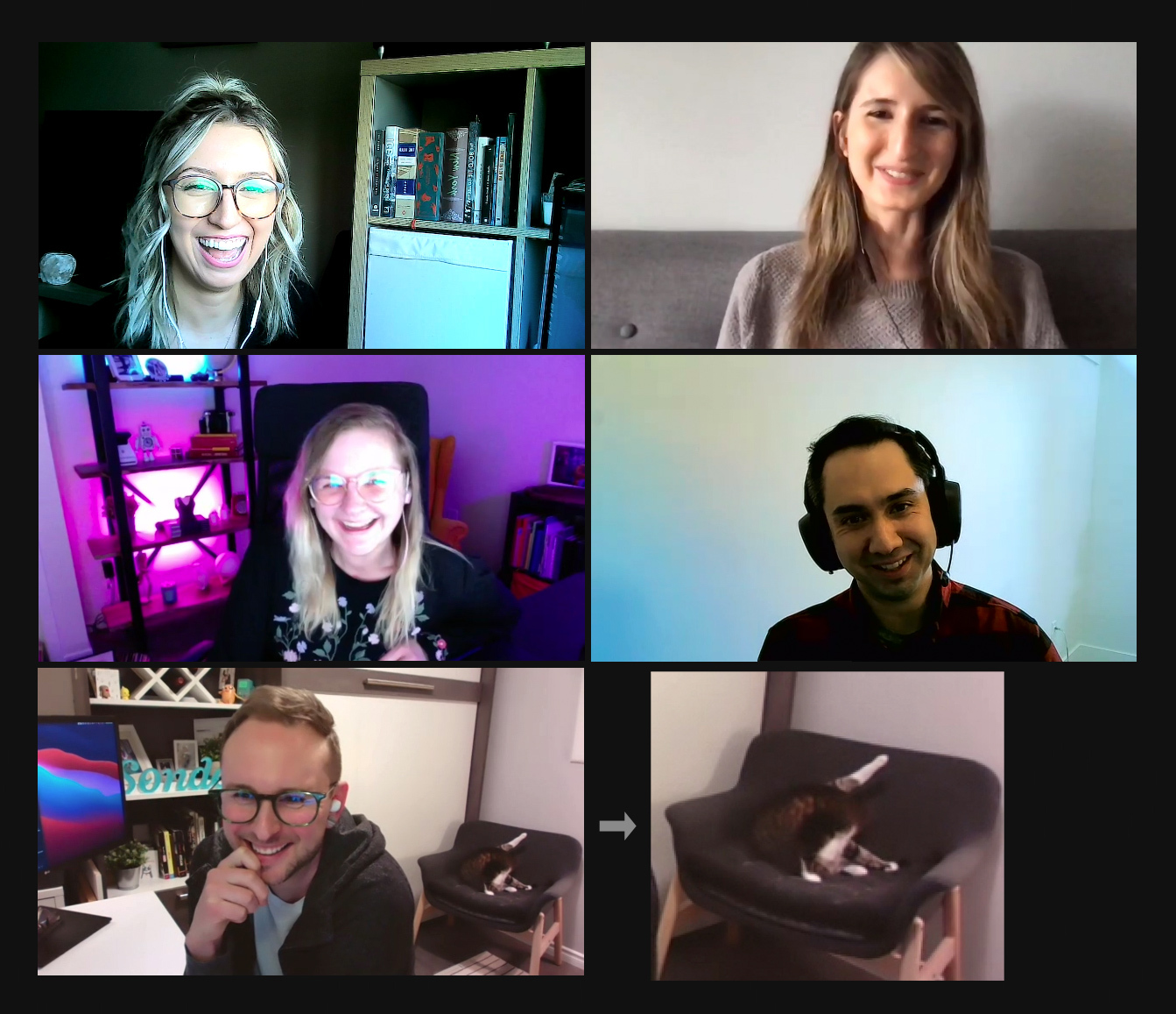 Sonder team meeting over zoom with a cat